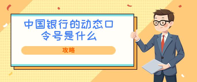 公司网银动态口令无显示怎么办_网银动态口令卡_企业网银动态口令